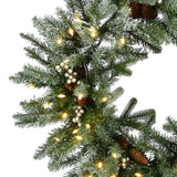 30IN Pre Lit Snowy Morgan Spruce Wreath with Smart Twinkly LED Lights