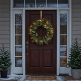 30IN Pre Lit Snowy Morgan Spruce Wreath with Smart Twinkly LED Lights