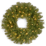 Pre-Lit Norwood Fir Wreath with Twinkly Smart LED Lights, 24 Inch Christmas Decor