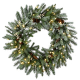 Pre-Lit Snowy Morgan Spruce Wreath with Smart Twinkly LED Lights, 30 Inch
