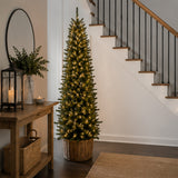 9ft Kingswood Fir Pencil Slim Christmas Tree (Unlit)