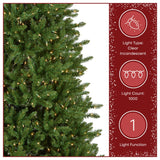 10ft Pre-Lit Natural Fraser Fir Slim Christmas Tree with Clear Lights