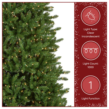 10ft Pre-Lit Natural Fraser Fir Slim Christmas Tree with Clear Lights
