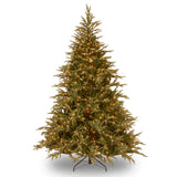 9ft Pre-Lit Fraser Grande Christmas Tree with Dual Color LED Lights