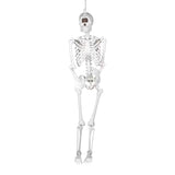 5 ft Life-Size Cyclops Skeleton Halloween Decoration (Posable Plastic Prop)
