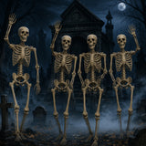 5 ft Life Size Posable Skeleton Halloween Decorations – 4 Pc Set