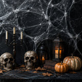 Stretchable Spider Web Halloween Decorations with Spiders – 12 Pc.