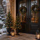 Pre-Lit Warm Welcome 3-Piece Christmas Entry Set with Trees & Wreath
