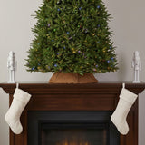 12ft Pre-Lit Dunhill Fir Christmas Tree with Dual Color LED Lights & PowerConnect