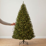 Pre Lit Hinged Douglas Fir Artificial Christmas Tree with Stand
