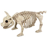 12" Pig Skeleton Halloween Decoration (Plastic Farm Animal Prop)