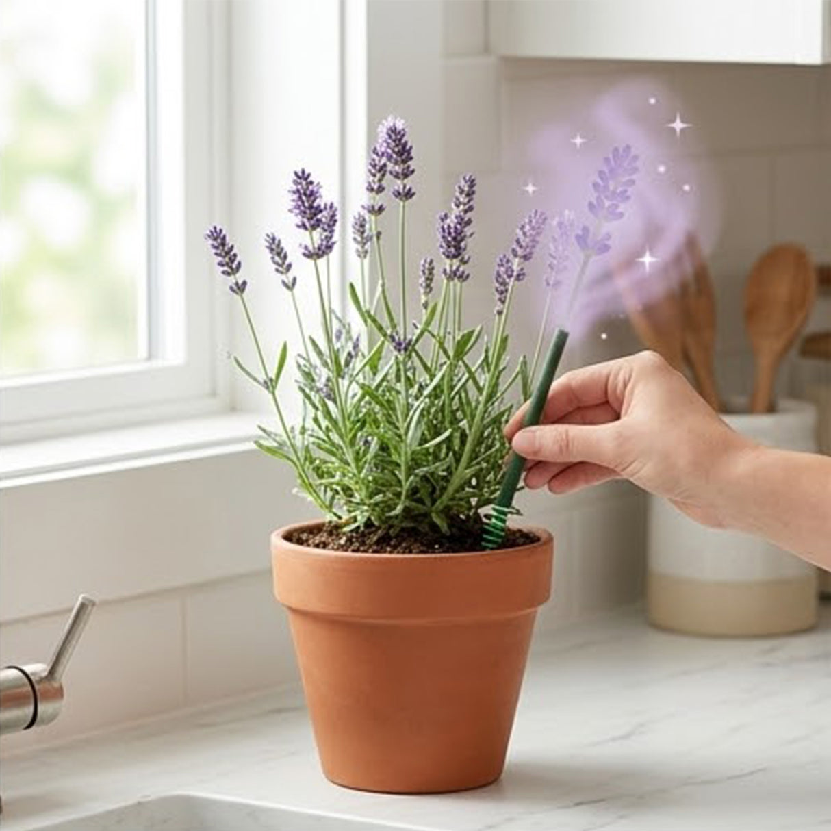 Scentsicles Lavender Vanilla Woods Scented Sticks with Scenter Stakes 2 Pack