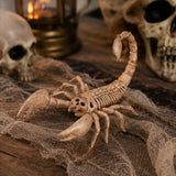 9" Scorpion Skeleton Halloween Decoration (Plastic Creepy-Crawly Prop)