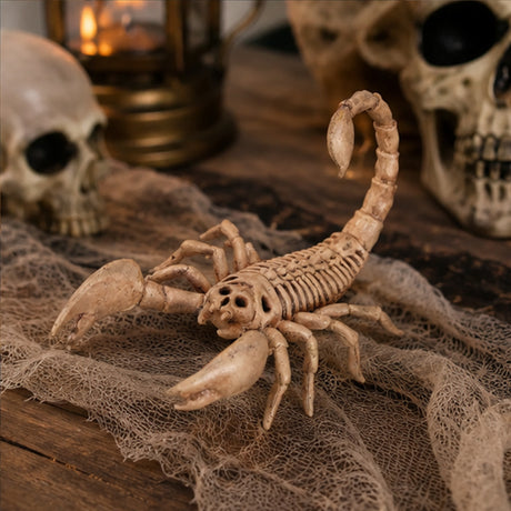 9" Scorpion Skeleton Halloween Decoration (Plastic Creepy-Crawly Prop)
