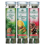 Scentsicles Holiday Scented Ornament Sticks 3 Fragrance Pack