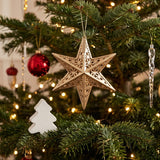 Scentsicles Decorative Ornament, Metal Gold Star, White Winter Fir with Refill
