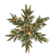 Pre-Lit 32 in. Glittery Bristle Pine Snowflake Christmas Wall & Door Decoration with Warm White LED Lights