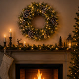Pre-Lit 24 in. Whitter Pine Christmas Wreath with Warm White LED Lights