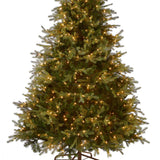 9ft Pre-Lit Nordic Spruce Medium Christmas Tree with Clear Lights