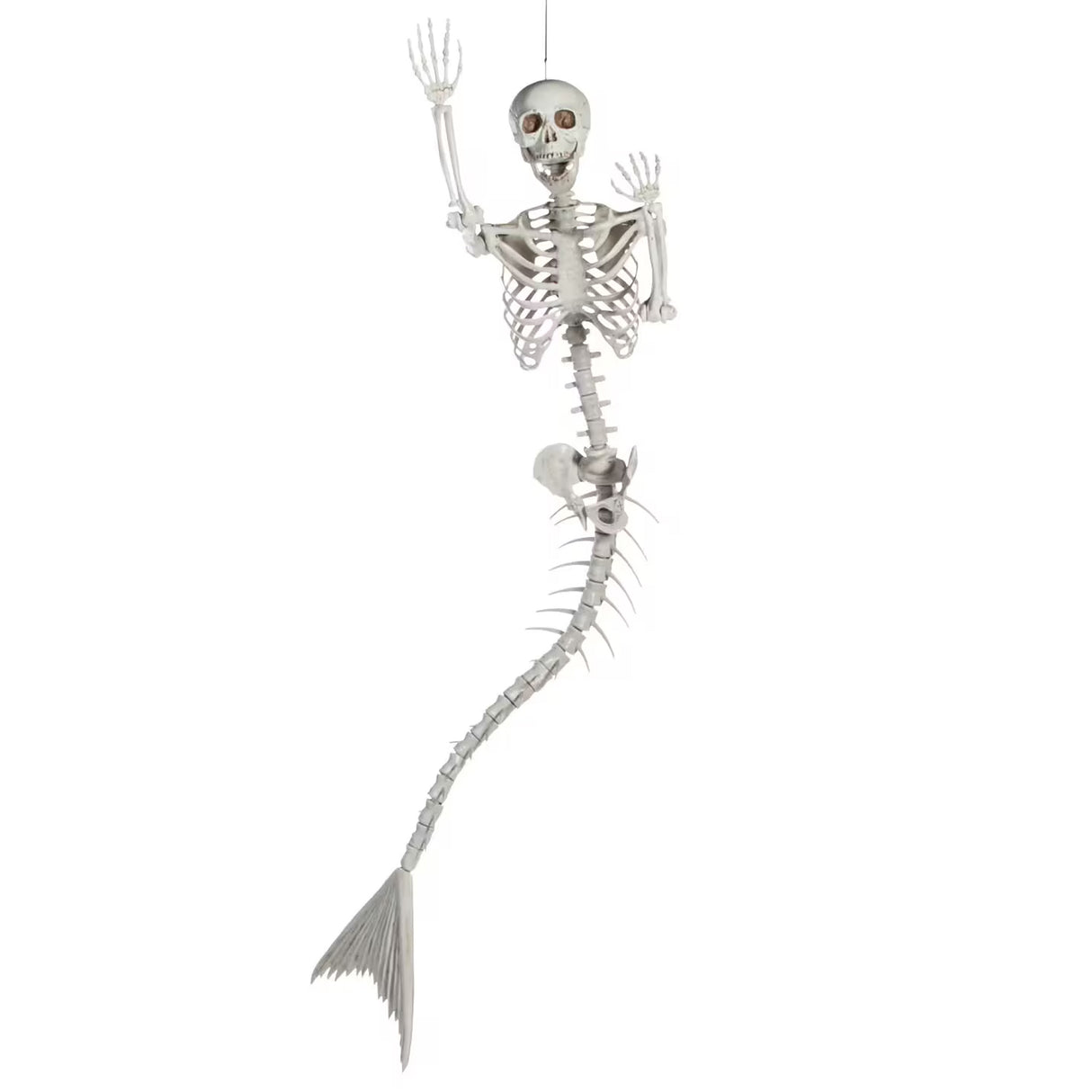 6 ft Life-Size Mermaid Skeleton Halloween Decoration (Posable Plastic Prop)