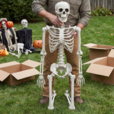 5 Ft Life-Size Posable Plastic Skeleton Halloween Decoration