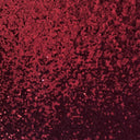 Mini Disc All Over Sequin Fabric