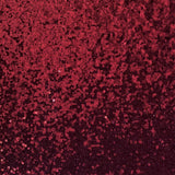 Mini Disc All Over Sequin Fabric