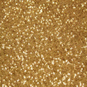Mini Disc All Over Sequin Fabric