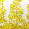 3D Embroidered Satin Floral Pearl Lace Fabric - 100 Percent Polyester Fabric, Floral Pearl Embroidery, 52" Width, 12" Panel (1 Yard)
