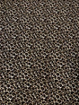 Leopard Print Brushed Single Spun Polyester Spandex Fabric - Leopard Print, 58"-60" Width