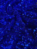 Sequin on Velvet Stretch Fabric