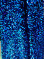 Iridescent Blue Sequin Stretch Velvet