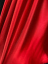 Shiny Nylon Spandex Red