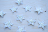 Star Patch White Sequin Beaded 0.75"