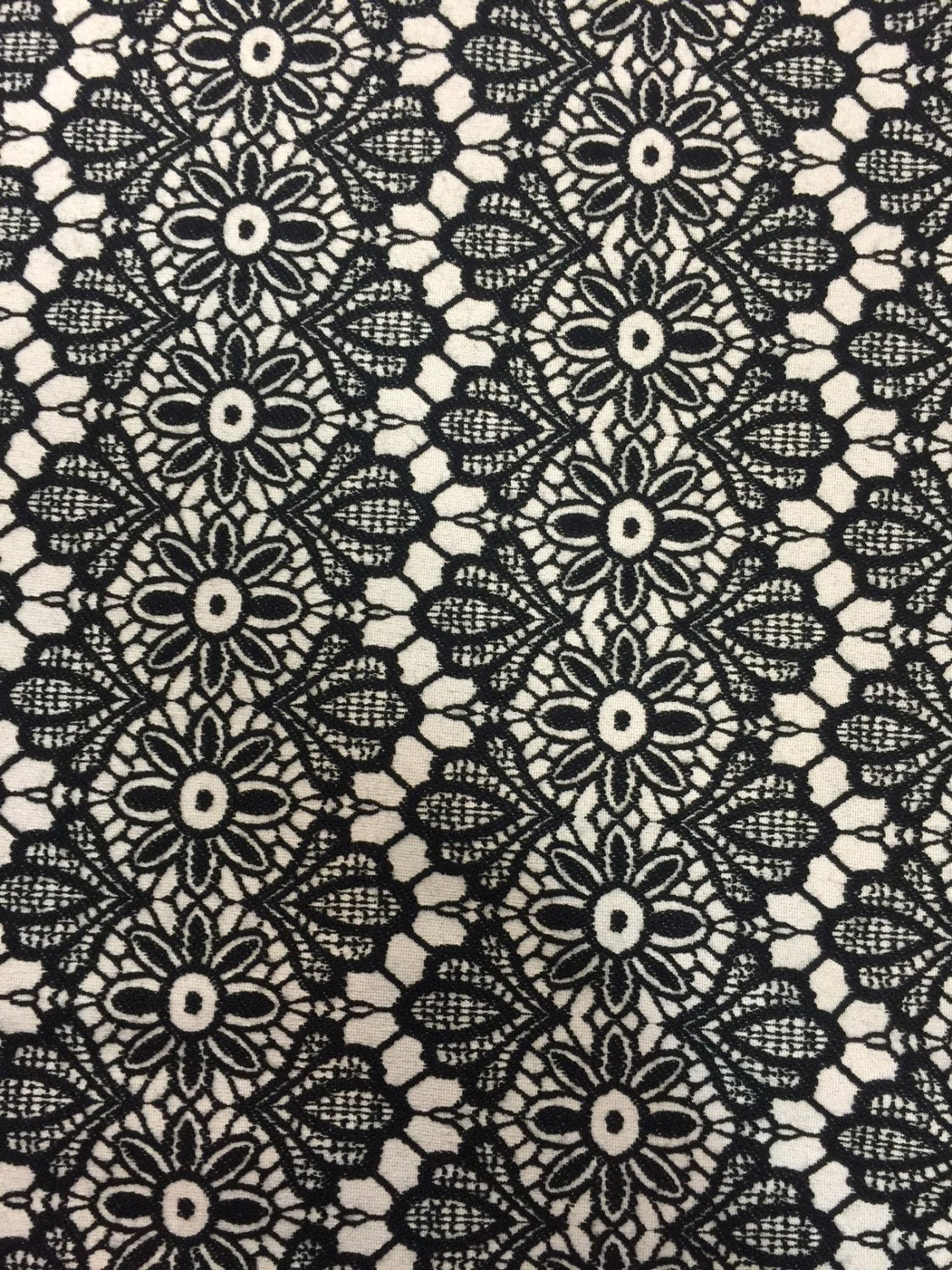 Embroidered Stretch Lace Black and Off White