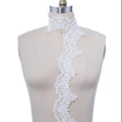 Bridal Lace Trim White Ivory 2.5"