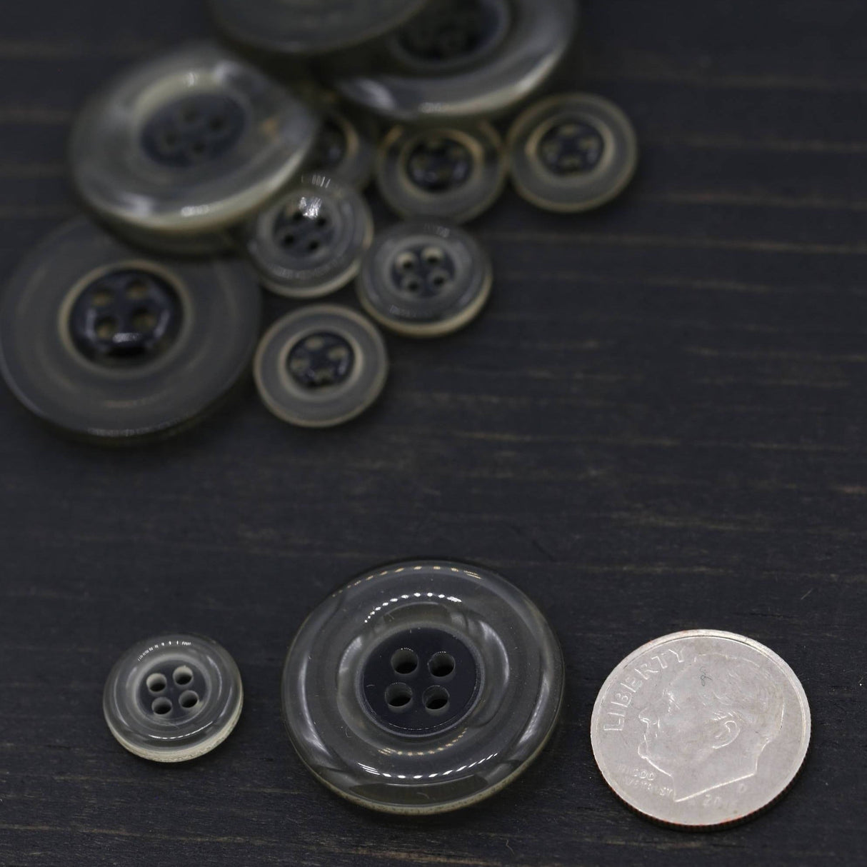 Clear Plastic Button Black Center 18L