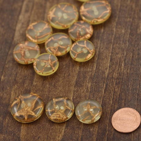 Clear Plastic Button with Gold Artistic Working