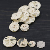 Clear Plastic Button 28mm 2-Hole