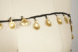 Sea Shell Trim Gold on Black