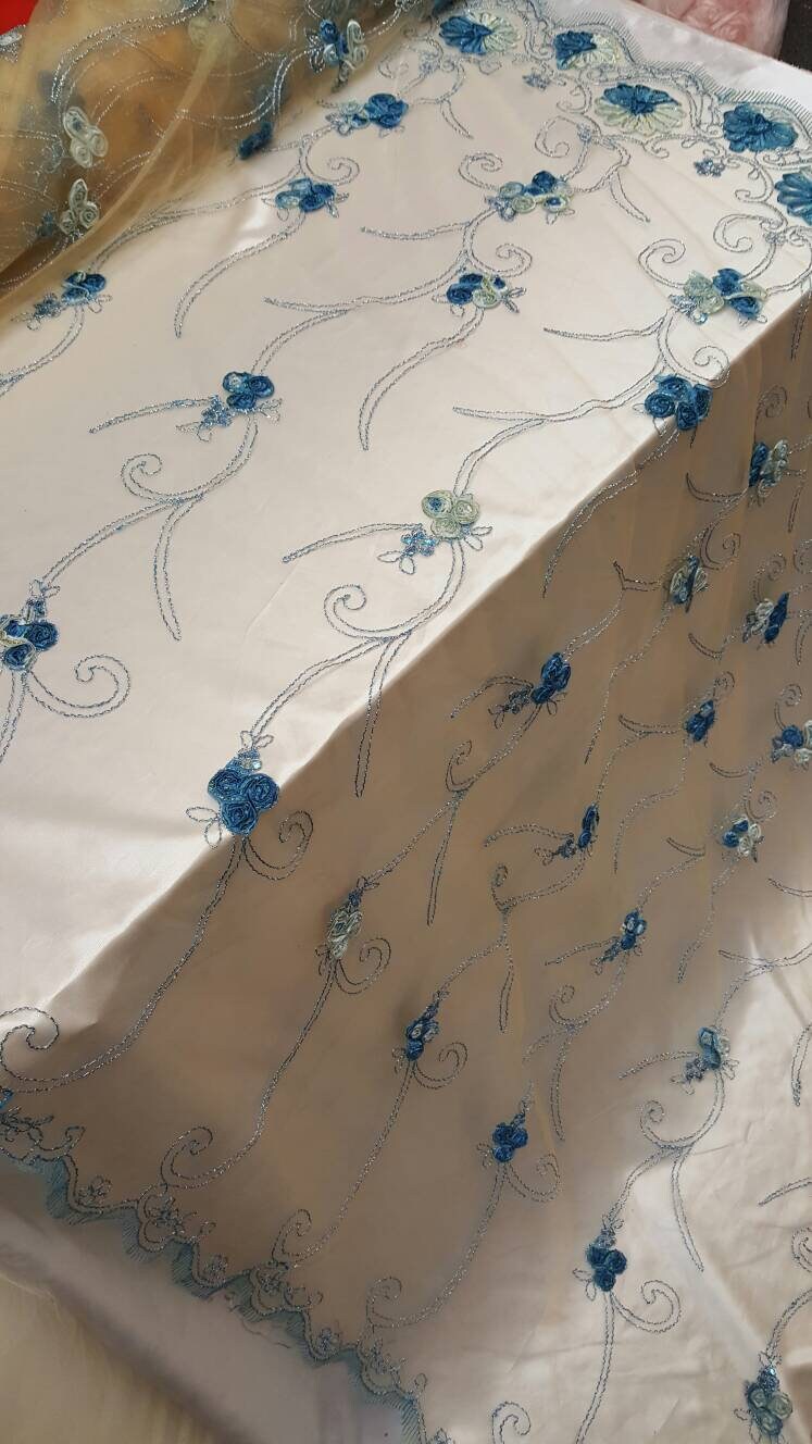 Embroidered Lace Blue Floral Border on Champagne Mesh