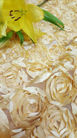 3D Floral Lace Light Gold