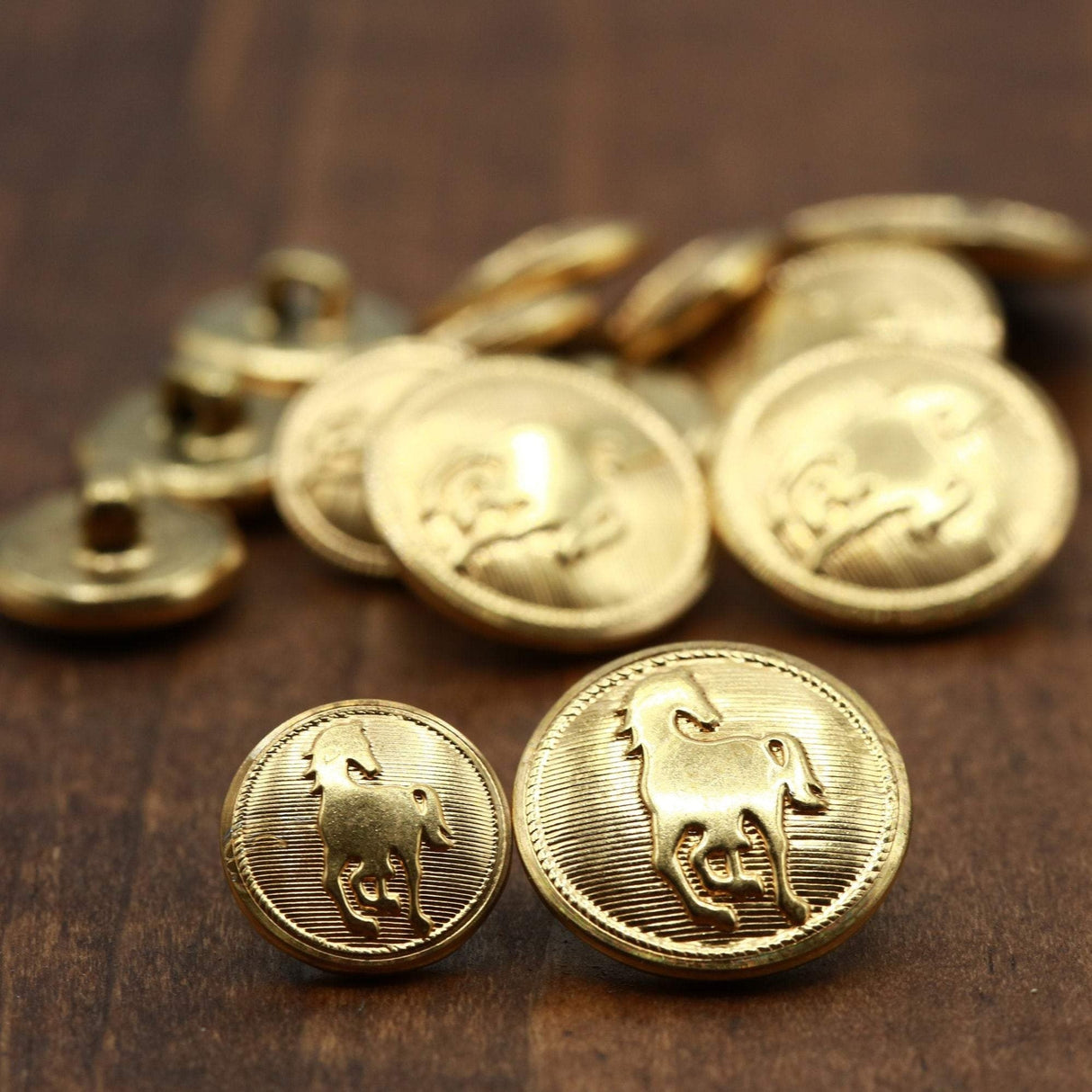 Wild Horse Metal Button Gold Shank