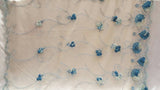 Embroidered Lace Blue Floral Border on Champagne Mesh
