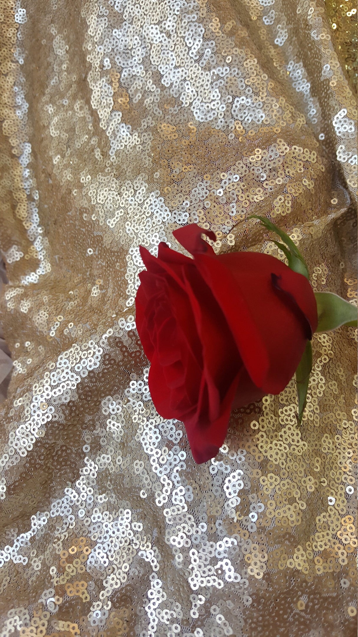 Gold Sequin Mesh Stretch Fabric