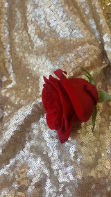 Gold Sequin Mesh Stretch Fabric