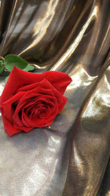 Metallic Chiffon Silk Gold on Black