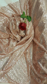 Sequin Mesh Fabric Champagne Gold