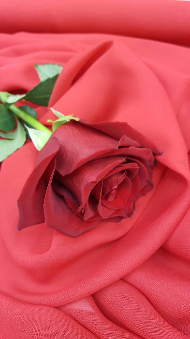 Red Chiffon Fabric
