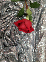 Silver Sequin Stretch Mesh Fabric
